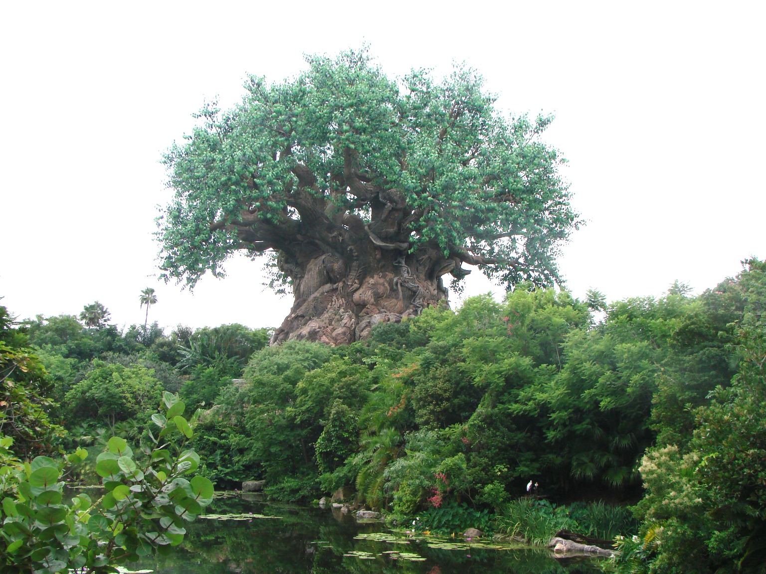 Disney Animal Kingdom Tree of Life